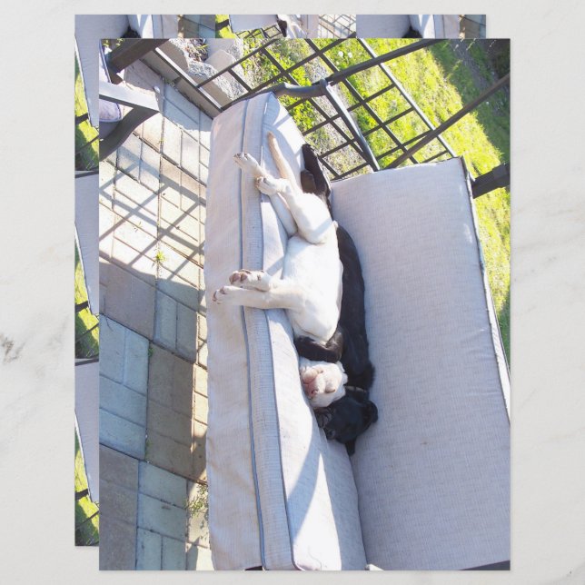 Labbgruppssovbok (Fram/baksida)