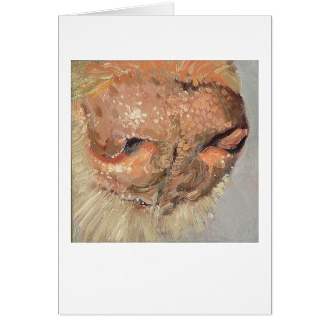 Labbnäsa OBS Kort (Framsidan)