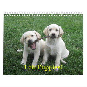 Labbvalpar! Kalender