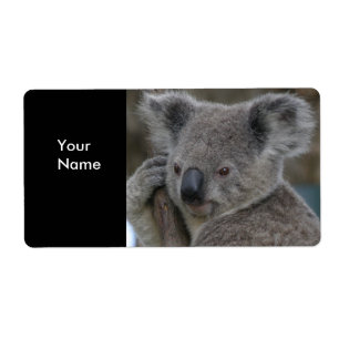 Label Adress Stickers Koala Bears Fraktsedel