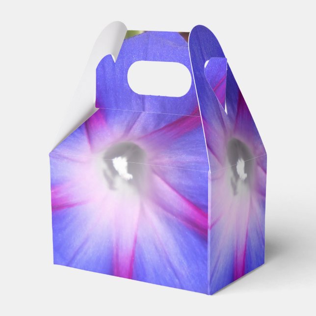 Labille-Guiard Presentaskar (Baksidan Sidan)