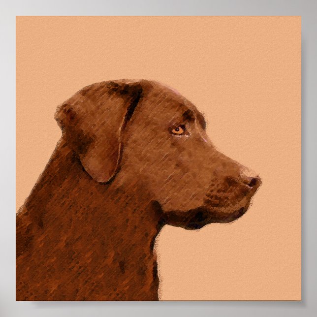 Laboratorierefärgning (Chocolate) - Hund Art Poster (Framsidan)