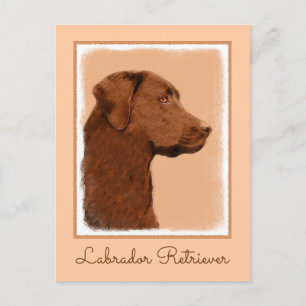 Laboratorierefärgning (Chocolate) - Hund Art Vykort