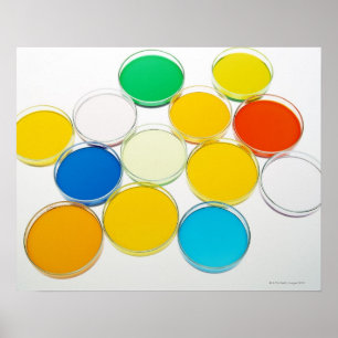Laboratoriummaträtt 2 poster