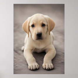 Labour Retriever Puppy Poster