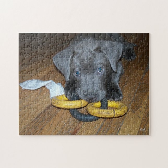 Labrabull Puppy Jigszle Puzzle Pussel (Horisontell)