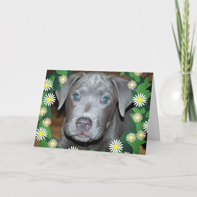 Labrabull-valp med blommor/Pet-Hund-foto Kort (Framsida)