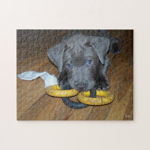 Labrabull Valp Pussel