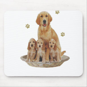 Labradogåvor Musmatta