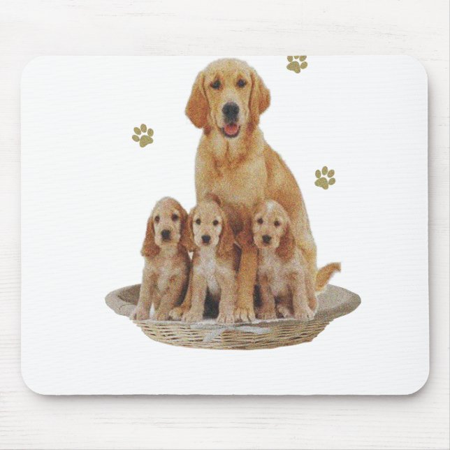 Labradogåvor Musmatta (Framsidan)