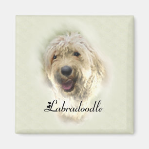 Labradoodle Älskare Gifts Magnet
