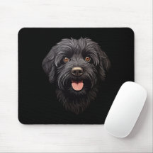 Labradoodle Black Hund