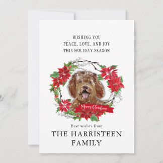 Labradoodle brun Watercolor Poinsettia jul Julkort