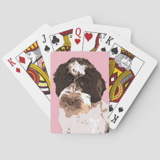 LABRADOODLE CASINOKORT