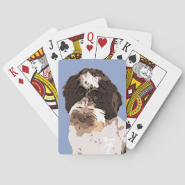 LABRADOODLE CASINOKORT