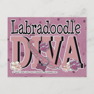 LabraDoodle DIVA Vykort