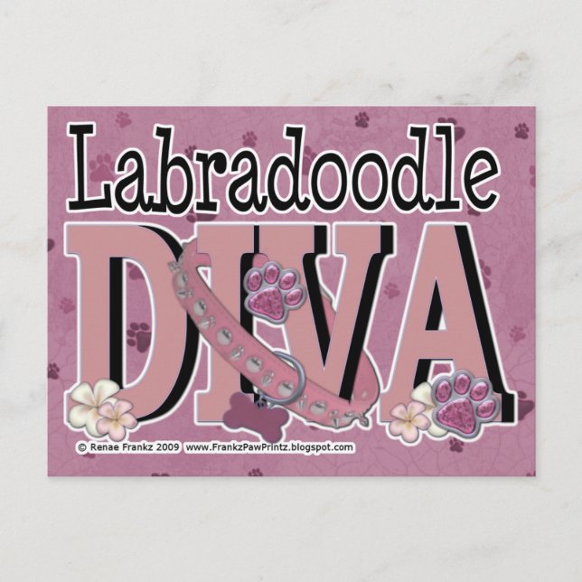 LabraDoodle DIVA Vykort (Framsida)