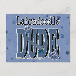 LabraDoodle DUDE Vykort