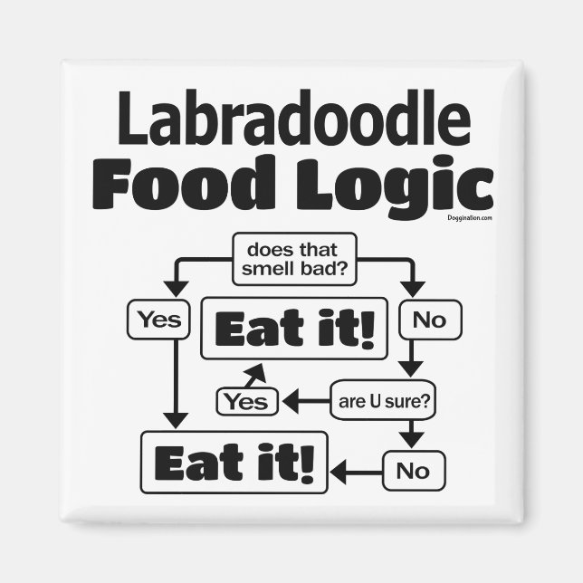 Labradoodle Food Logic Magnet (Framsidan)