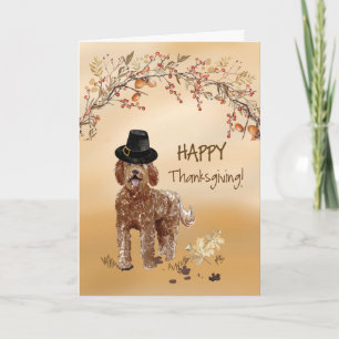 Labradoodle Funny Pilgrim Hat Thanksgiving Kort