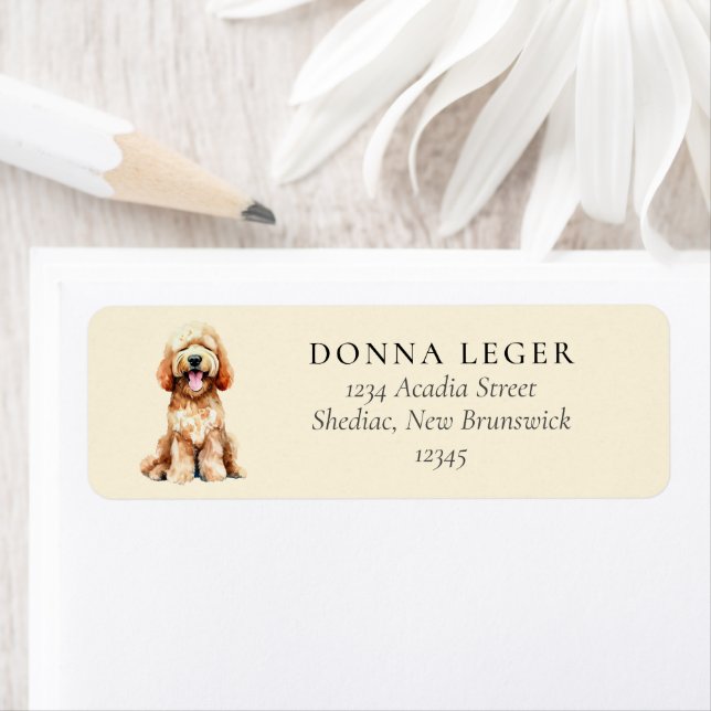 Labradoodle Goldendoodle Hund Adress Returadress Etikett (Insitu)