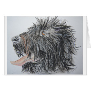 Labradoodle Hälsningskort