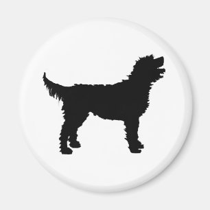 Labradoodle hund (i svart) magnet