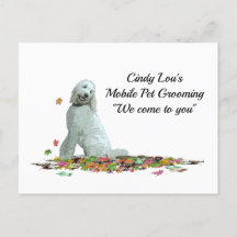 Labradoodle Hund in Löv Postcard