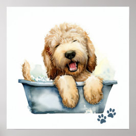 Labradoodle Hund Poster