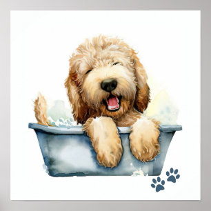 Labradoodle Hund Poster
