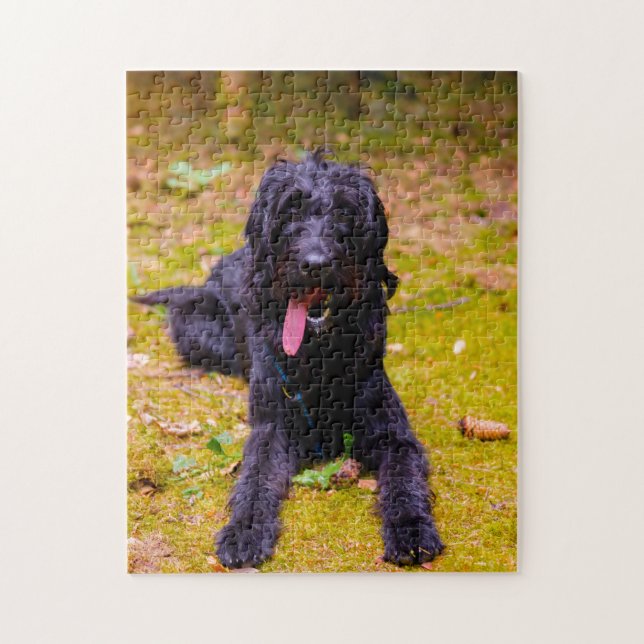 Labradoodle Hund. Pussel (Vertikal)