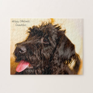 Labradoodle Hund. Pussel