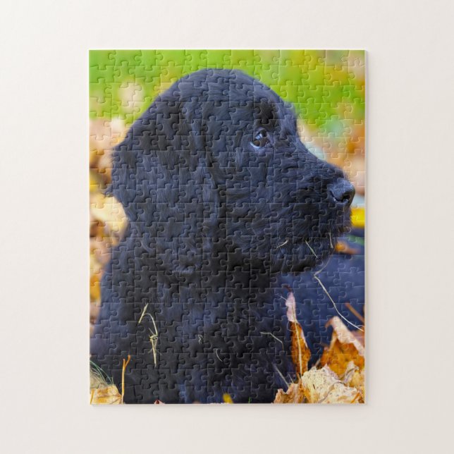 Labradoodle Hund. Pussel (Vertikal)