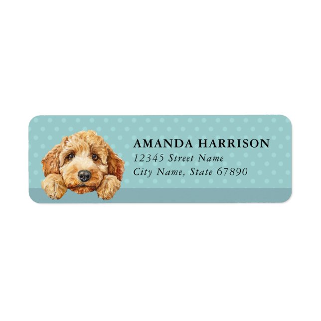 Labradoodle Hund Returadressetiketter Returadress Etikett (Framsidan)