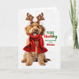 Labradoodle Hund Roliga Loppor Navidog med Namn Helgkort