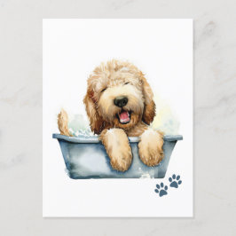 Labradoodle Hund Vykort