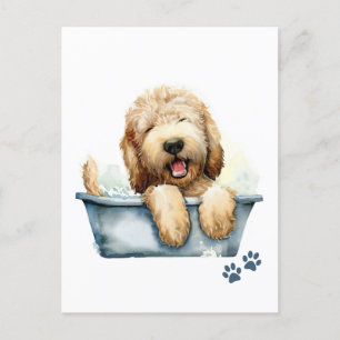 Labradoodle Hund Vykort