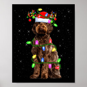 Labradoodle Hund Xmas Belysning Tomte Labradoodle Poster