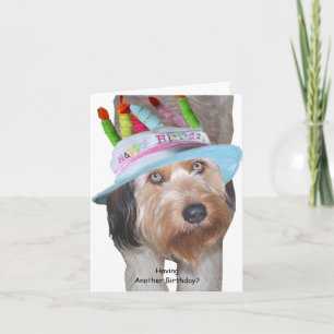 Labradoodle i Birthday Kort