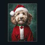 Labradoodle i festlig juldräkt vykort<br><div class="desc">Denna bild visar en söt Labradoodle klädd i en festlig juloutfit. Hunden bär en röd tomtehatt med fluffig vit trimning och en matchande röd sammetsrock med vita pälsaccenter. Runt halsen har den en grön halsband med en röd, tassformad märke. Labradoodleens lockiga päls och uttrycksfulla ögon ger den ett förtjusande, hjärtvärmande...</div>