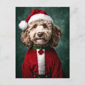 Labradoodle i jultomten helg vykort