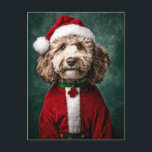 Labradoodle i jultomten vykort<br><div class="desc">Den här bilden har en förtjusande Labradoodle som är klädd i en julklapp. Hund har en röd julhatt med en fluffy vit trim och en matchande röd sammet jackar med vita päls-accenter. Omkring nacke är en grönt med en röd, tass-formad märkre. Labradoodles förbannade päls och uttrycksfulla ögon ge är ett...</div>