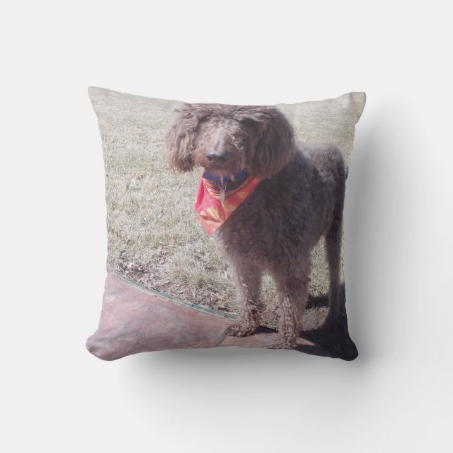 labradoodle kudder kudde (Framsida)