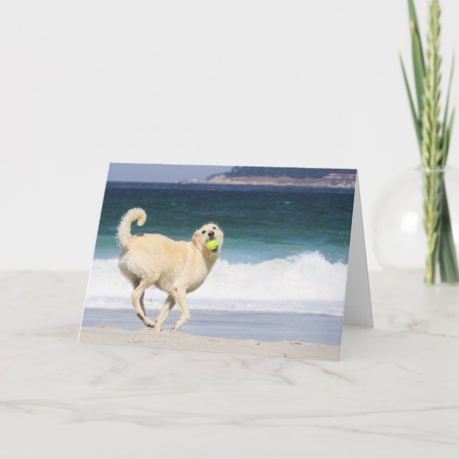Labradoodle - Lycklig-dagen på stranden Kort (Framsida)
