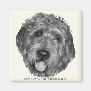 Labradoodle Magnet