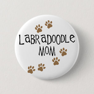 Labradoodle mamma knapp