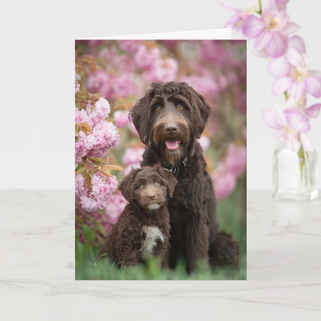 Labradoodle Mamma Mors Dag Kärlek Kort (Orkide)