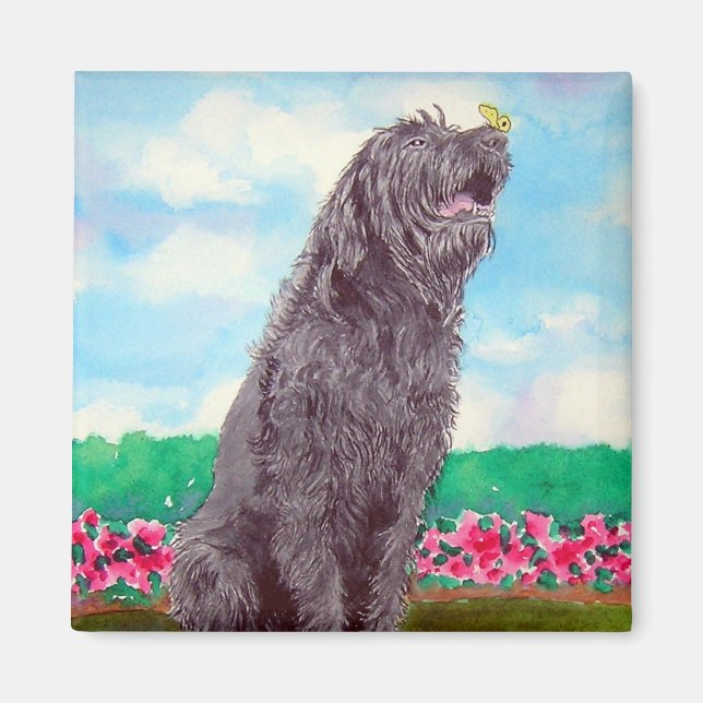 Labradoodle med Butterfly Magnet (Framsidan)