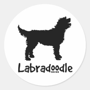 Labradoodle med Coola Text Runt Klistermärke