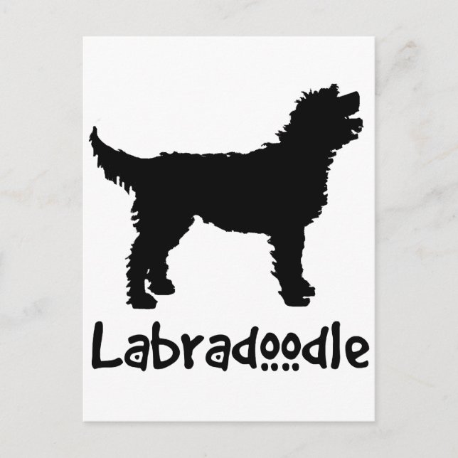 Labradoodle med Coola Text Vykort (Framsida)